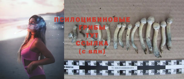 прущий лед Магас