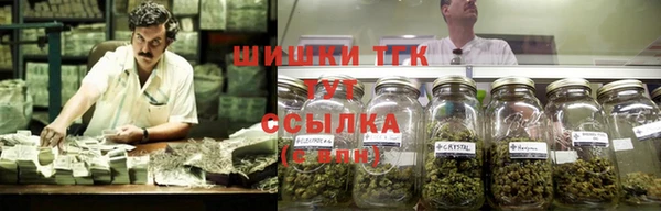 сатива Майский